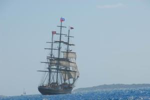 Dragon Fly Adventure Photos (2006)